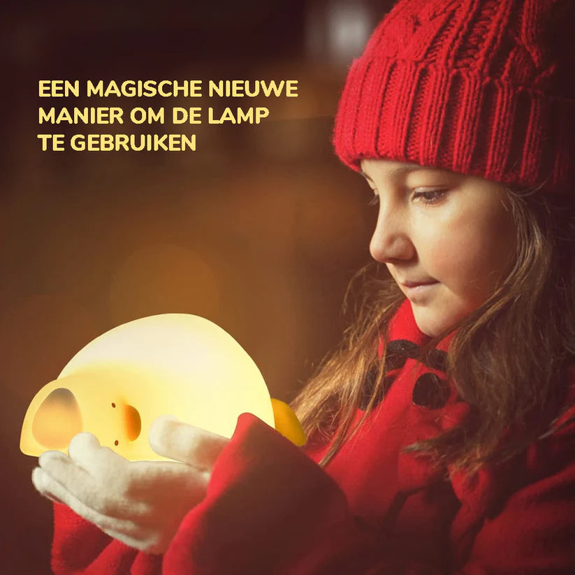 Eenden Lamp š¦