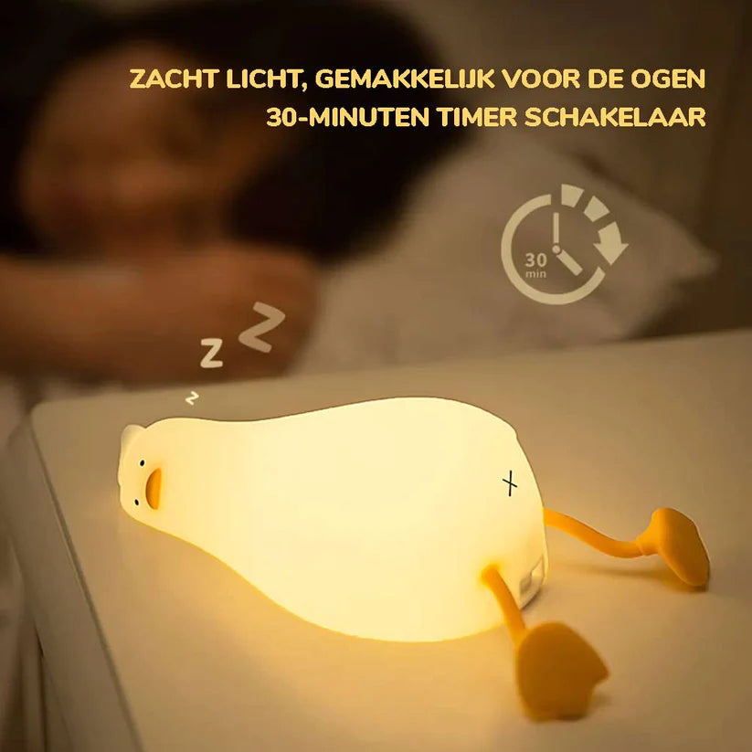 Eenden Lamp š¦